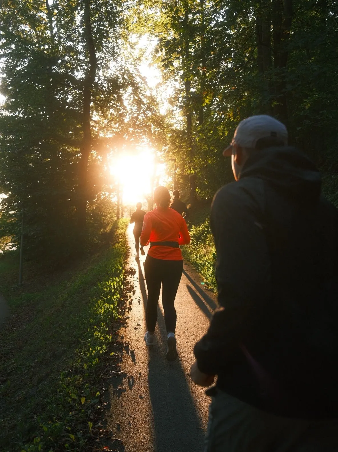Gruppe läuft in die Abendsonne am Hennesee